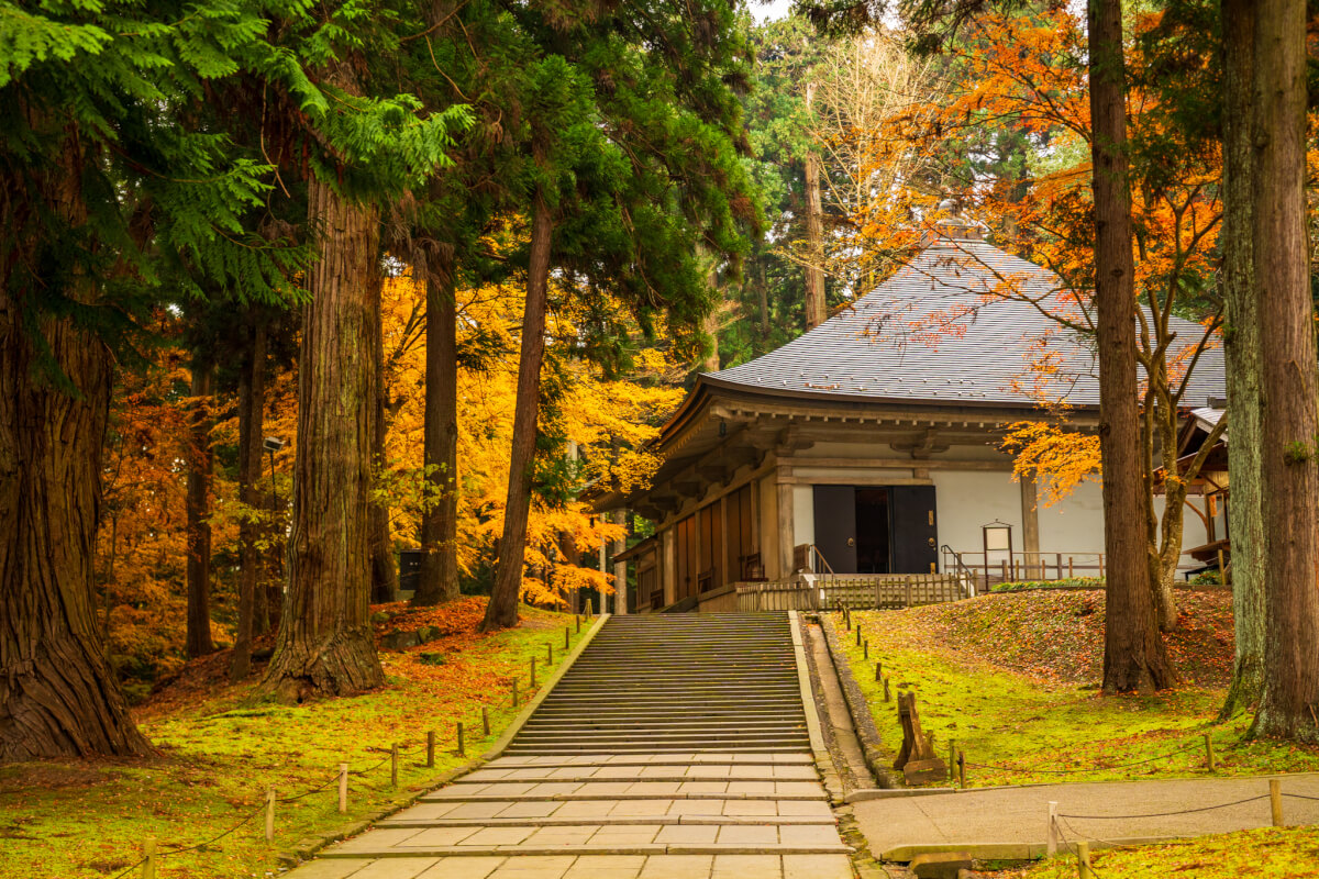 平泉中尊寺写真撮影スポット
