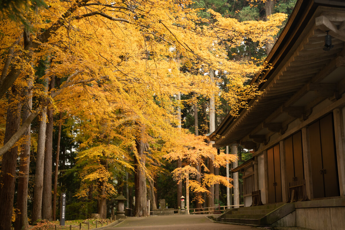 平泉中尊寺写真撮影スポット