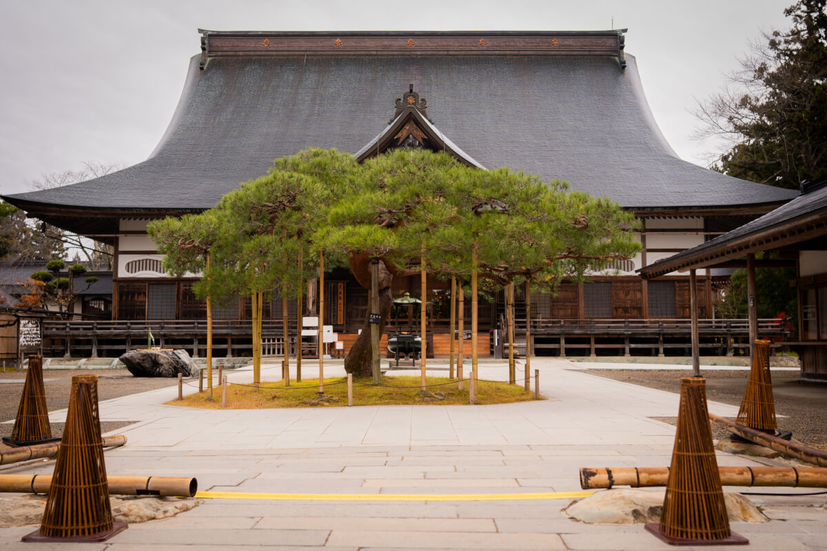 平泉中尊寺写真撮影スポット