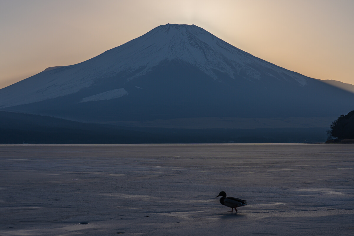 平野の浜富士山写真撮影画像