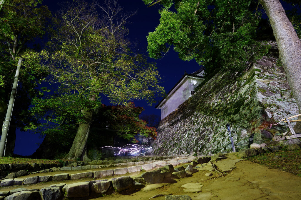 彦根城と玄宮園の紅葉