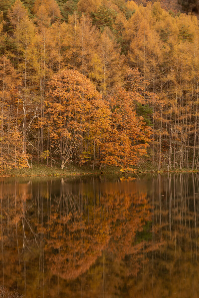 御射鹿池紅葉リフレクション写真