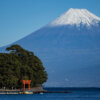 御浜岬〜富士山・朱色鳥居写真