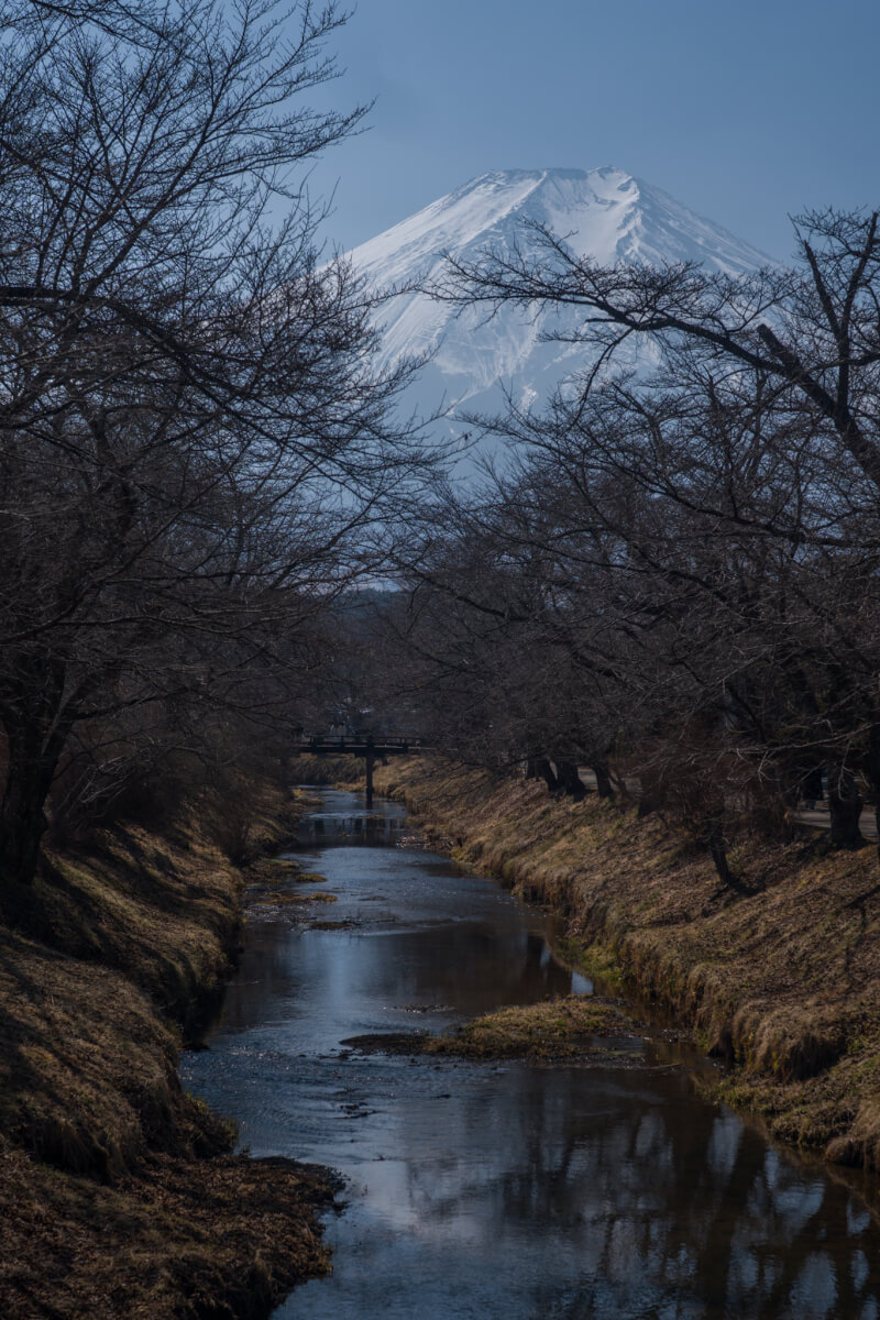 忍野八海富士山の写真撮影スポット