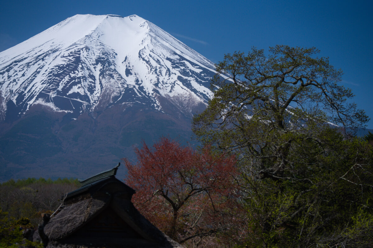 忍野八海散策写真