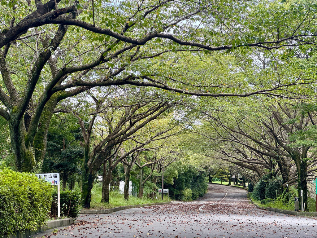 愛鷹広域公園ランニング