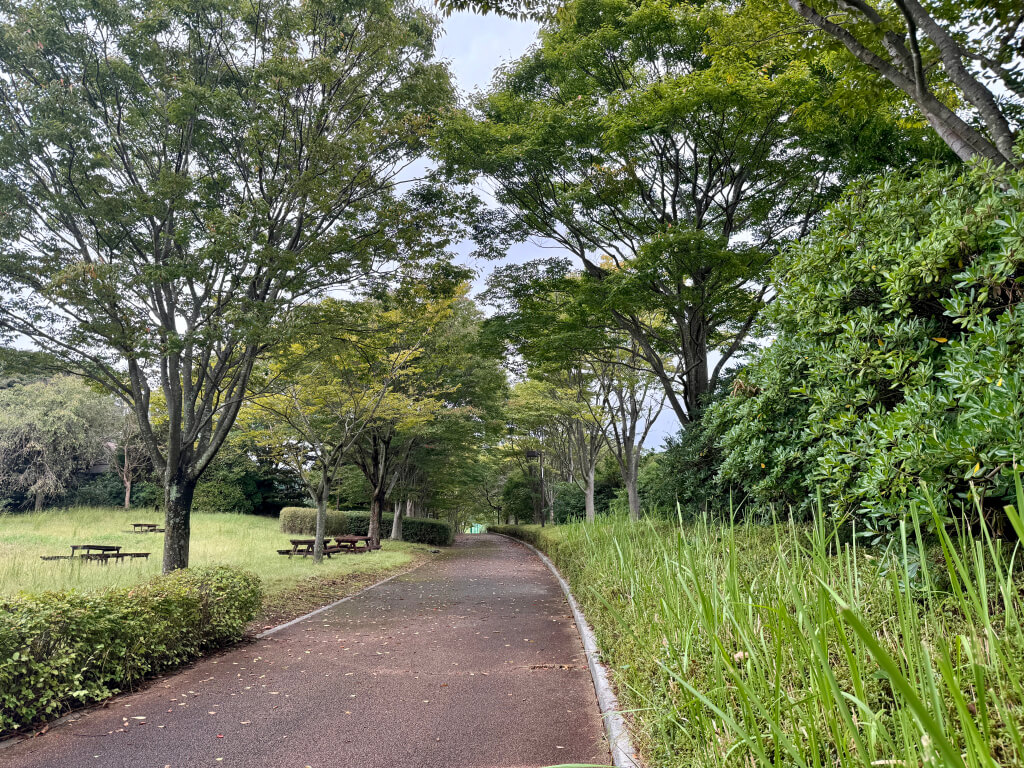 愛鷹広域公園ランニング写真