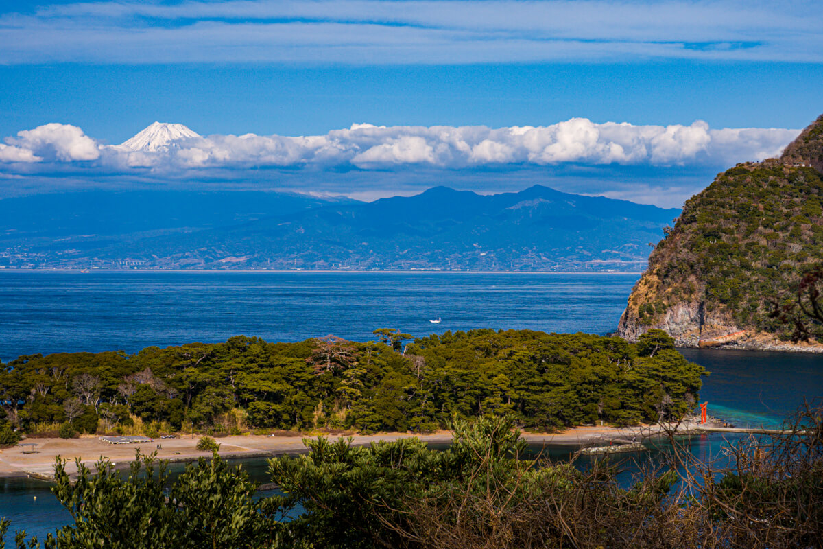 戸田健康の森展望地