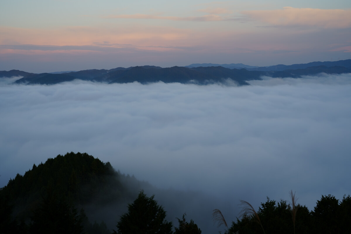 押山の雲海写真