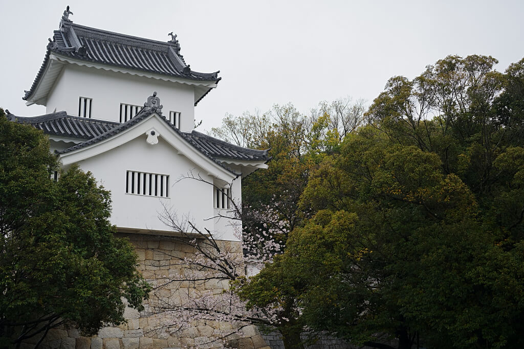 挙母城の桜写真