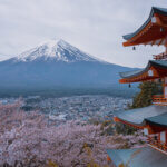 新倉山浅間公園の桜富士山五重塔写真