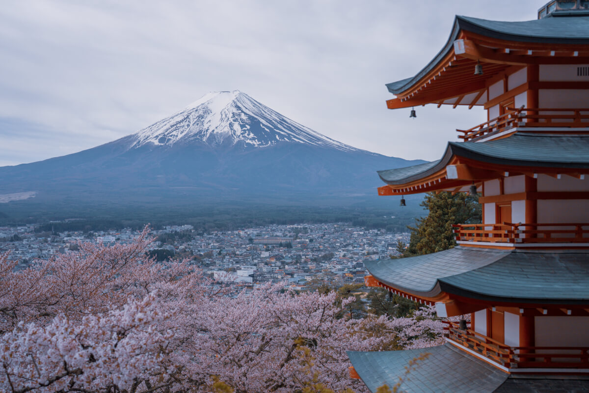 新倉山浅間公園の桜富士山五重塔写真