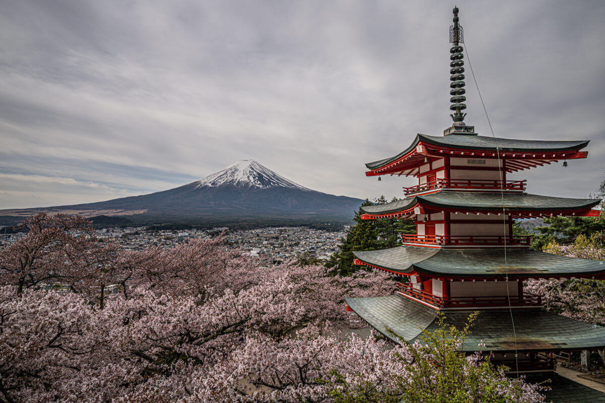 新倉山浅間公園の桜富士山五重塔写真