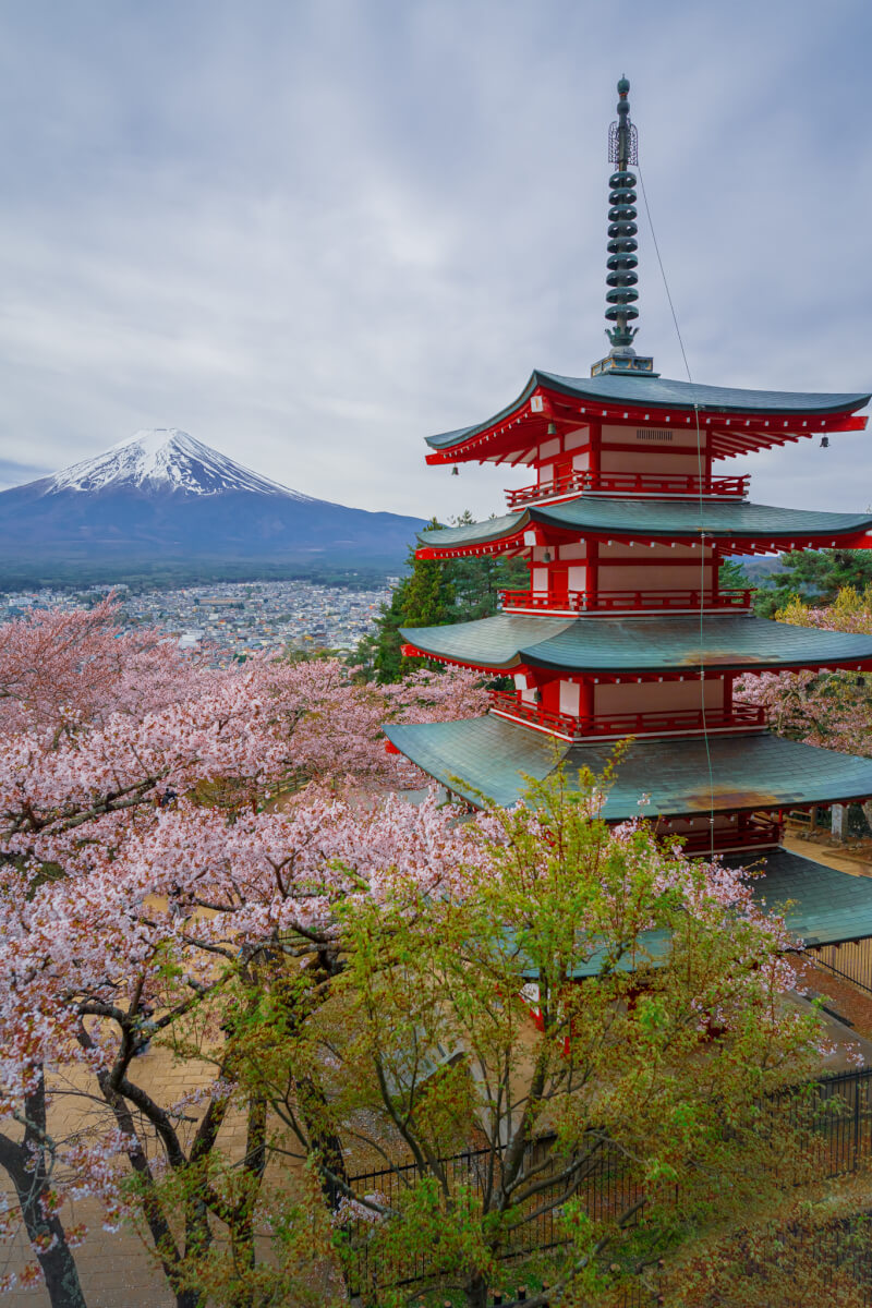 新倉山浅間公園の桜富士山五重塔写真
