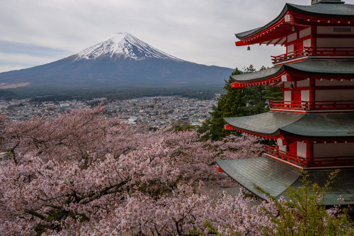 新倉山浅間公園の桜富士山五重塔写真