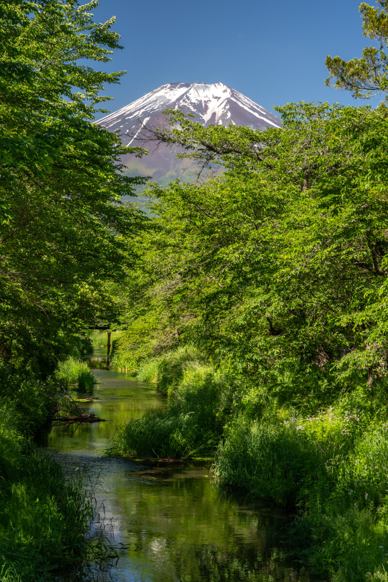 新名庄川富士山写真撮影スポットお宮橋