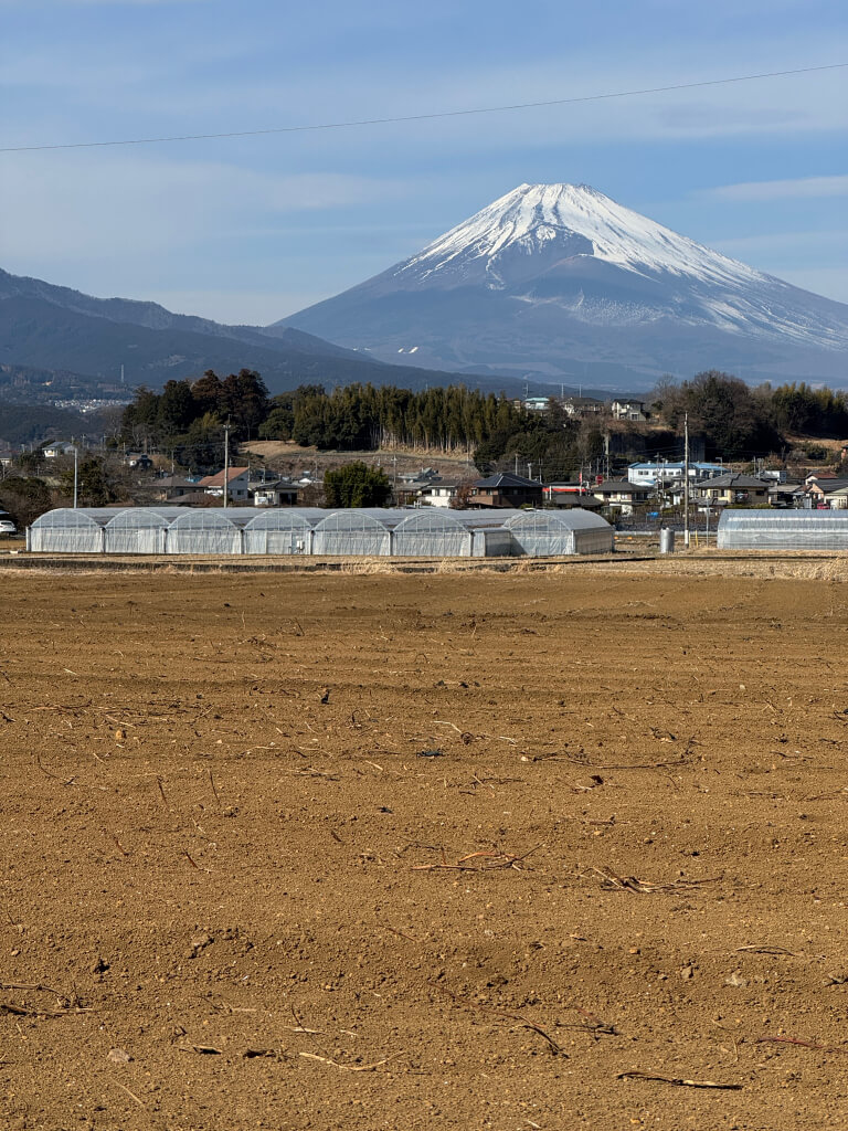 普通の裾野市内ランニング