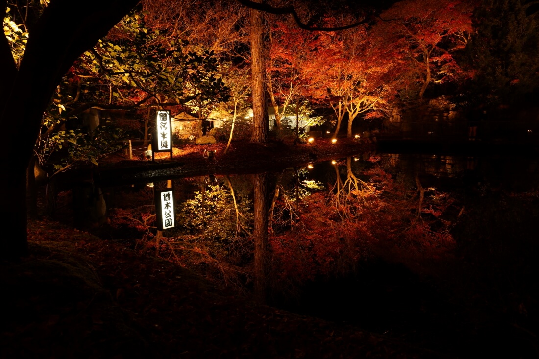 曽木公園の紅葉ライトアップ写真