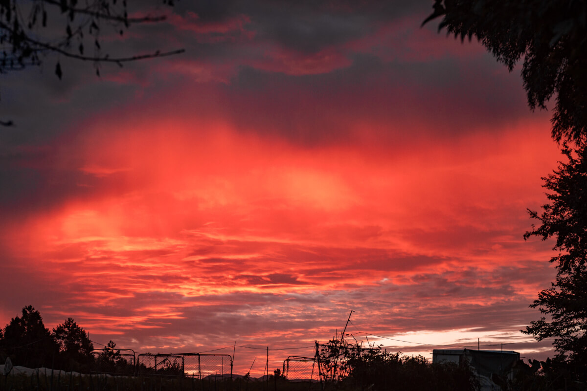 朝焼け写真裾野市