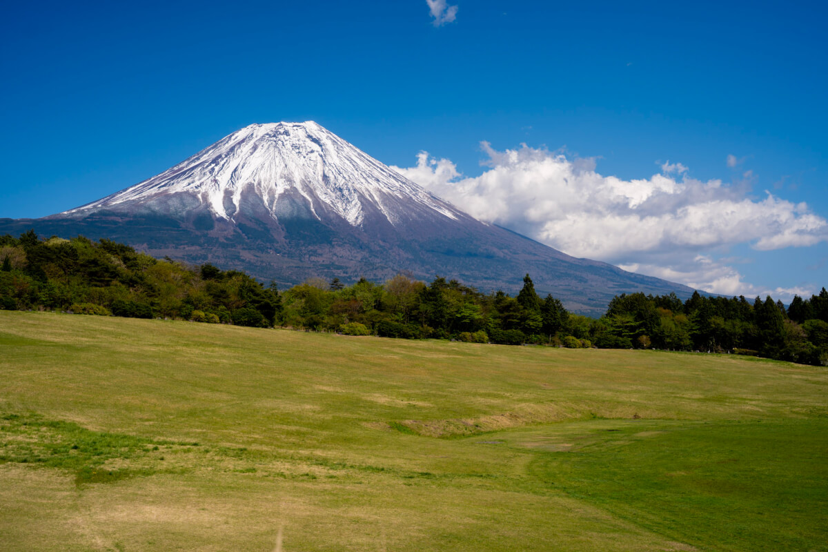 朝霧アリーナ自然公園展望台の富士山