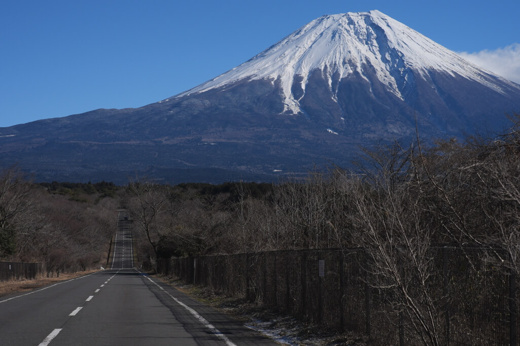 朝霧自然公園アリーナ写真