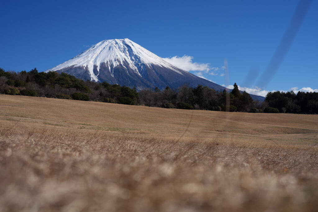 朝霧自然公園アリーナ写真