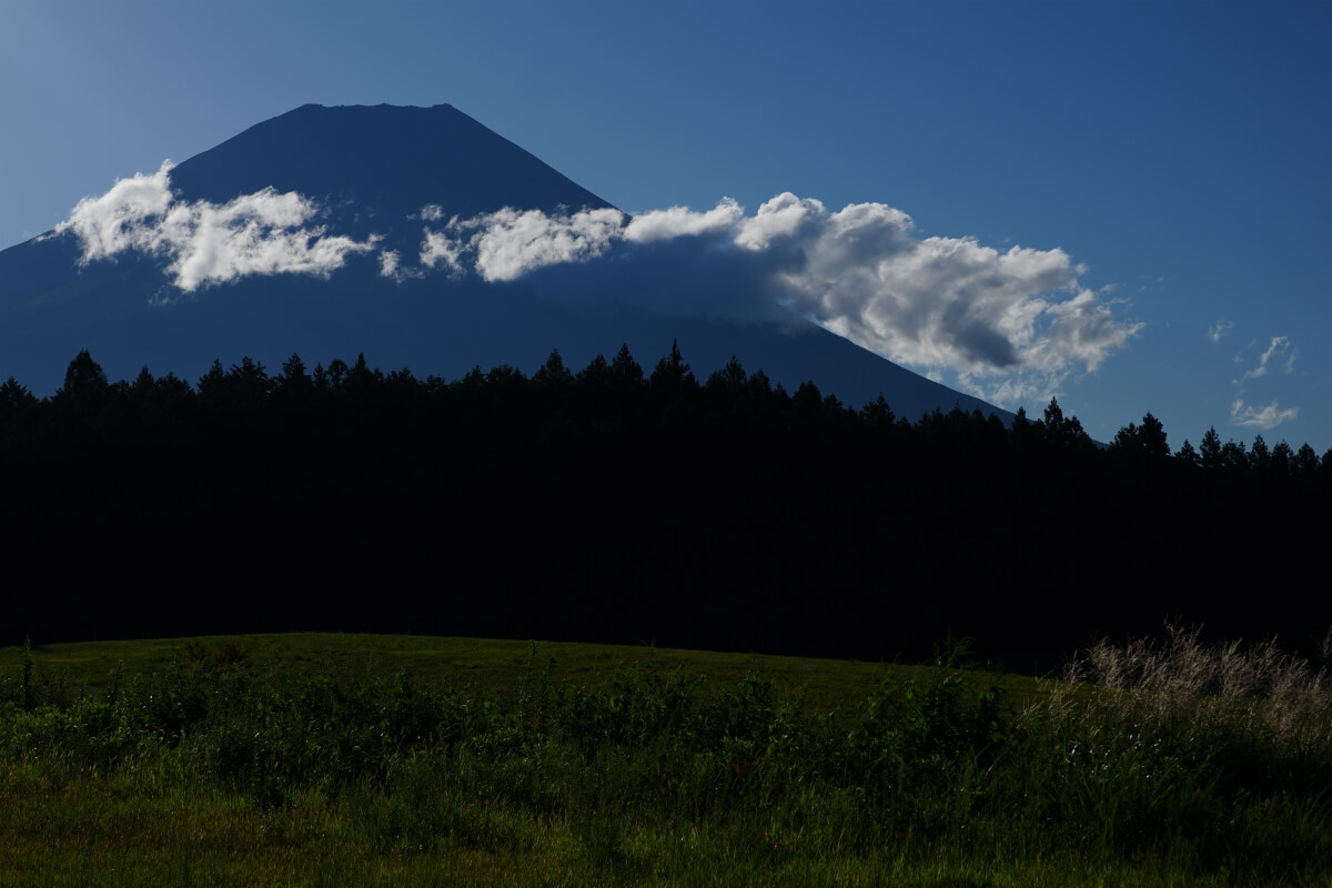朝霧高原の富士山展望台