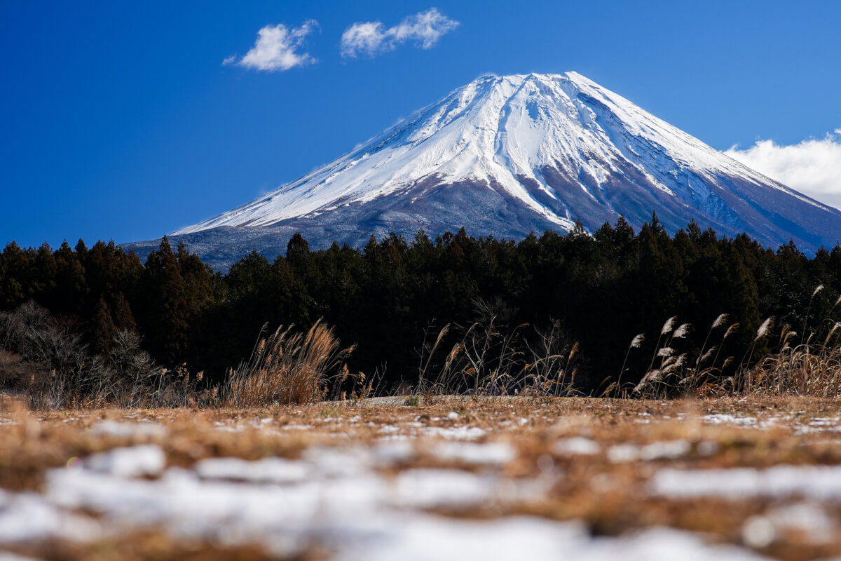 朝霧高原富士山展望台写真道の駅