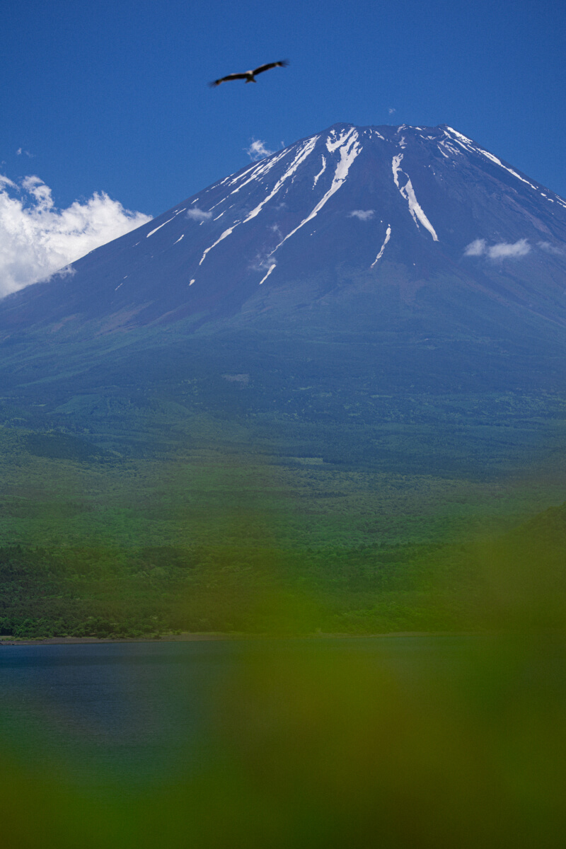 本栖湖展望公園、逆さ富士山写真撮影スポット