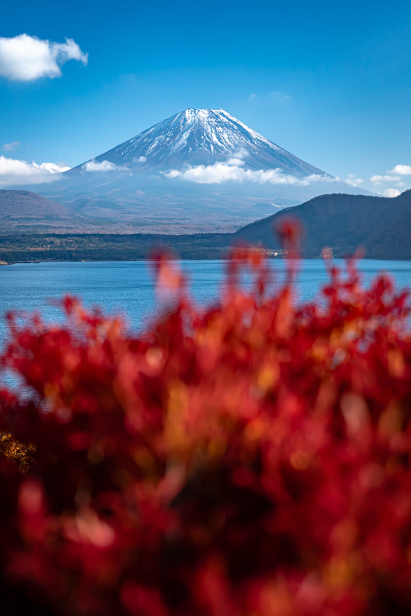 本栖湖展望公園と紅葉