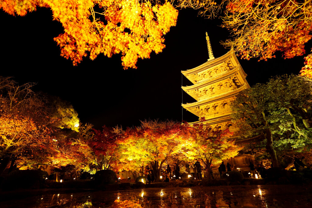 東寺五重塔の紅葉夜景写真