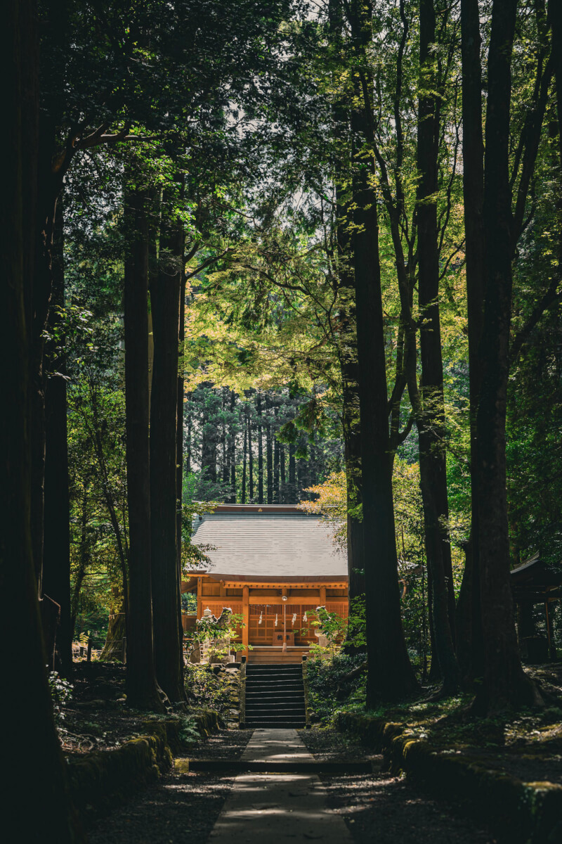 東山厳島神社の写真