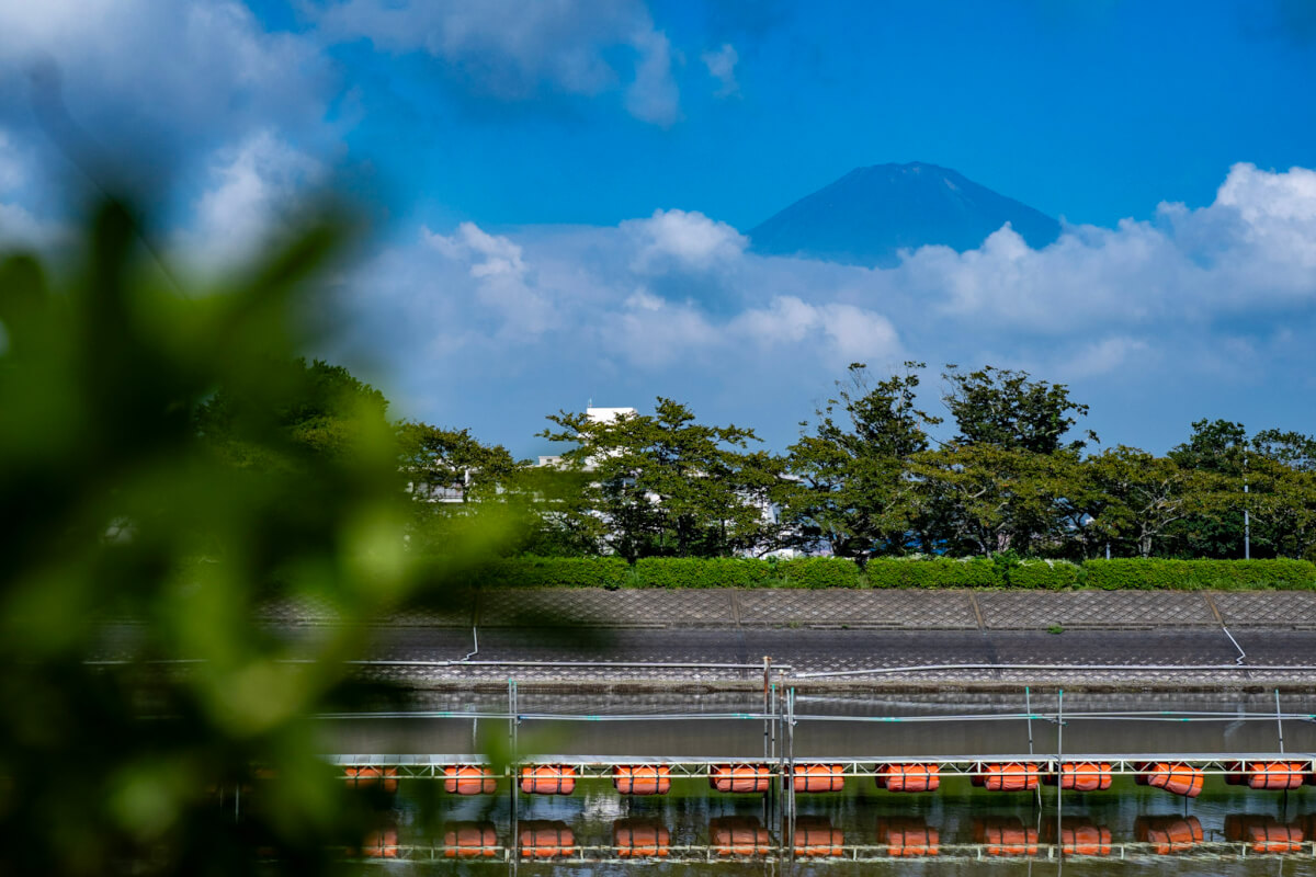 東山湖