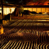 東福寺ライトアップ紅葉写真