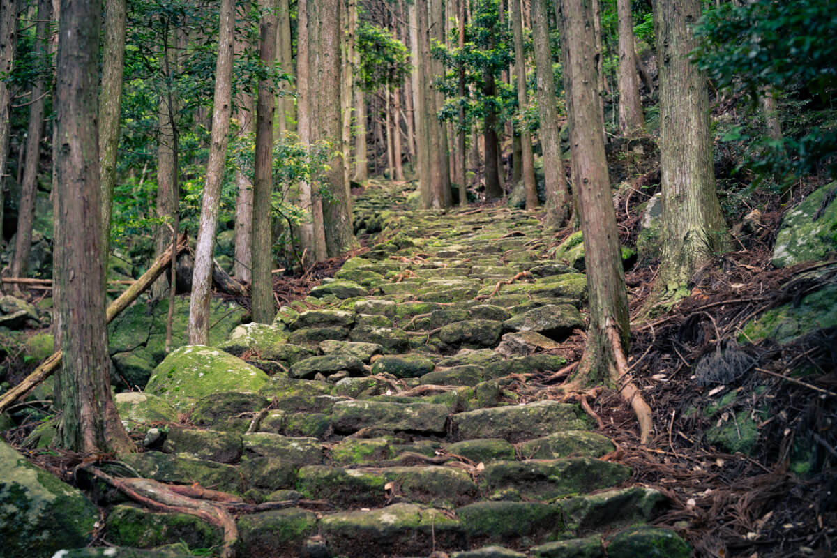 松本峠熊野古道石畳写真