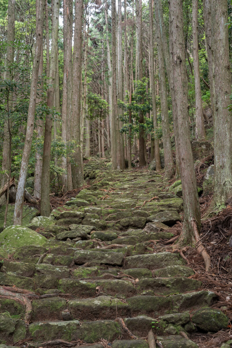 松本峠熊野古道石畳写真
