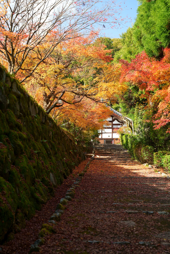 正伝寺の紅葉写真