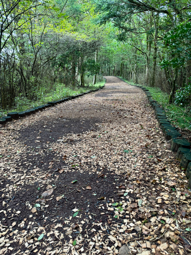 水ヶ塚公園トレイルランニングコース