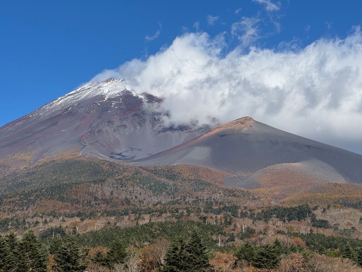 水ヶ塚宝永山トレラン写真