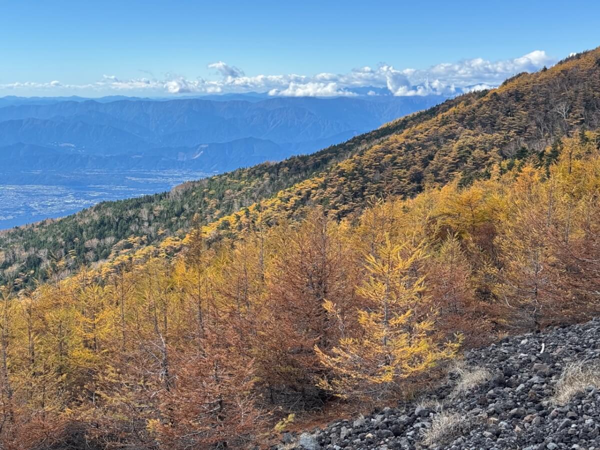 水ヶ塚宝永山トレラン写真