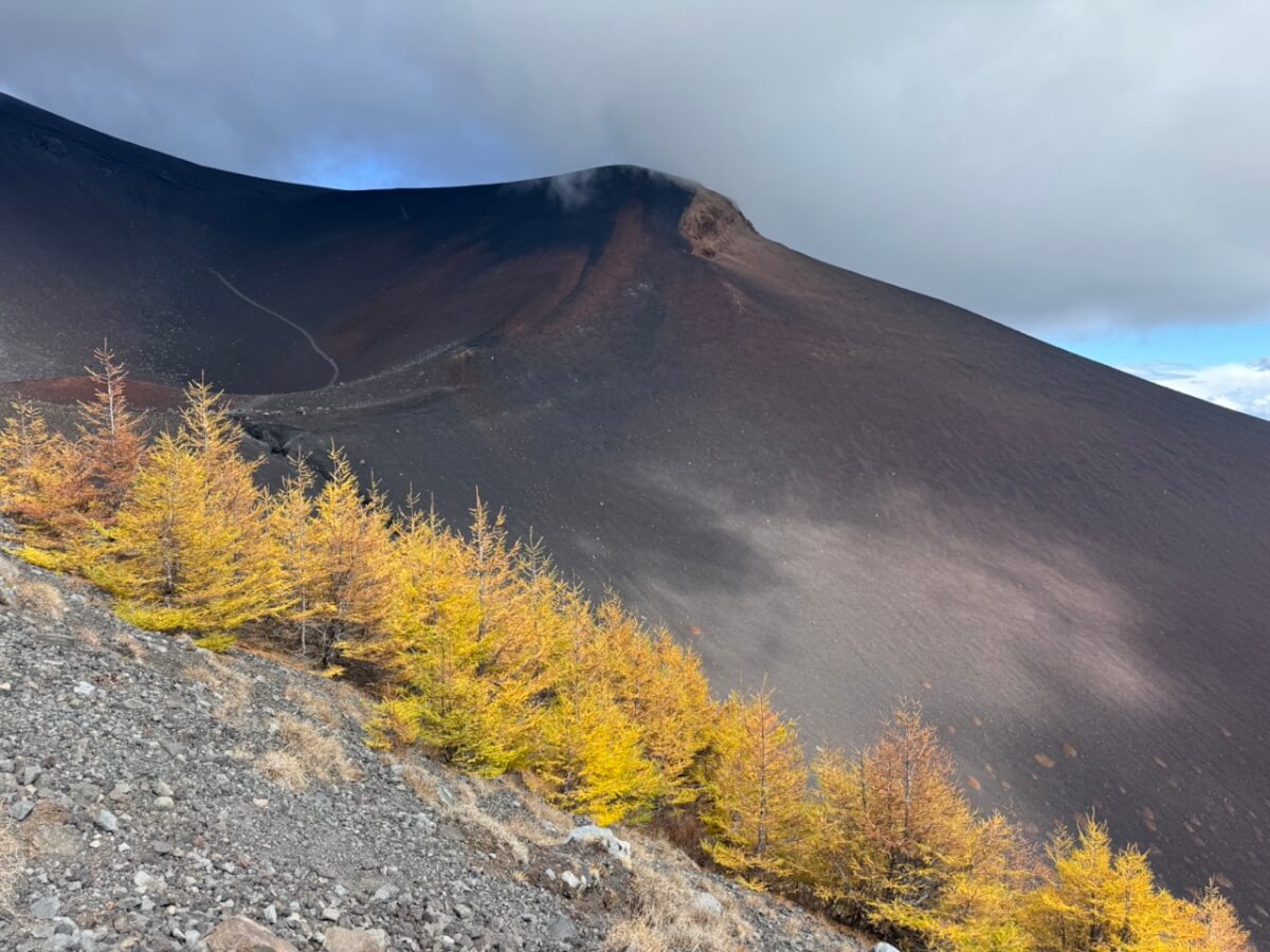 水ヶ塚宝永山トレラン写真