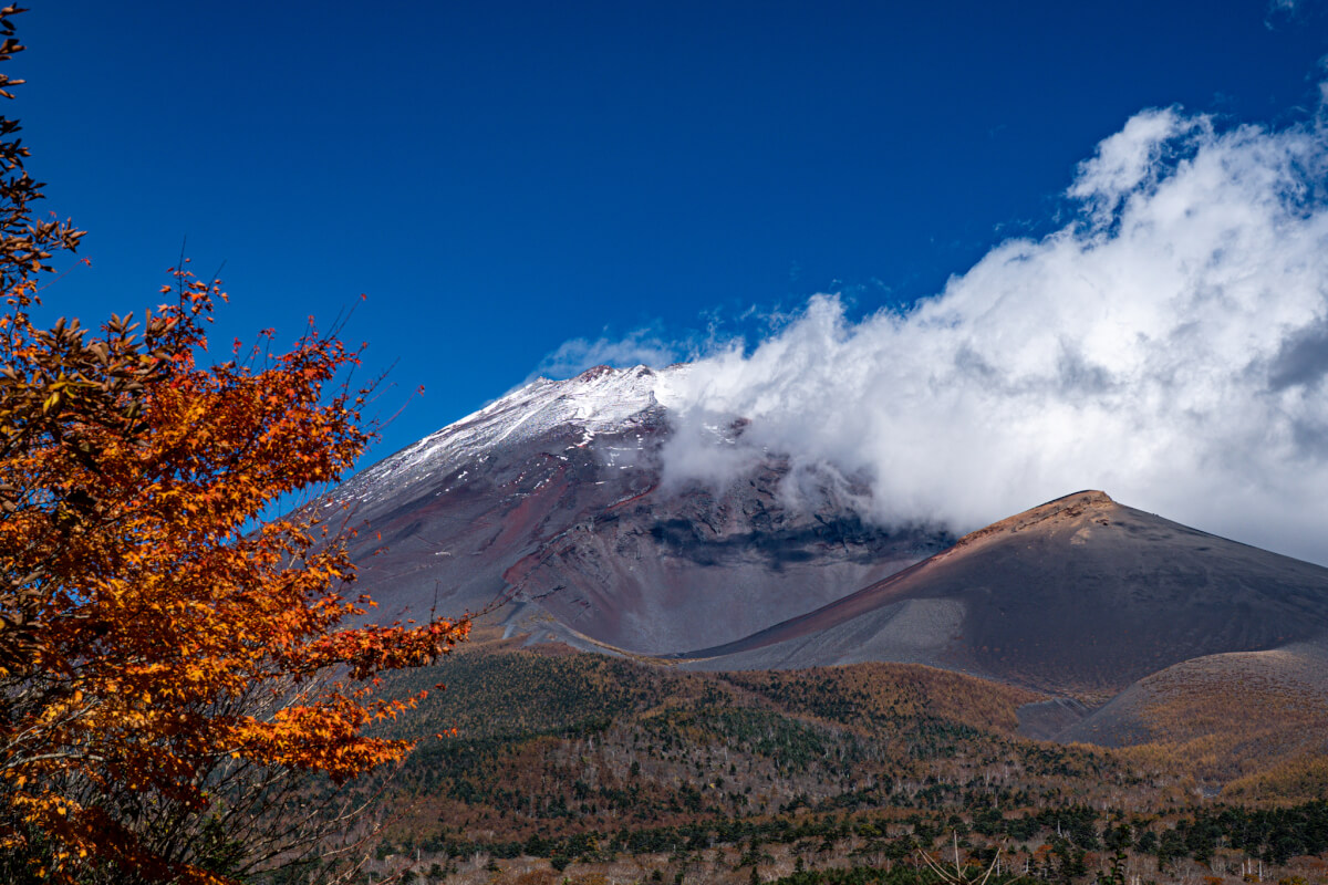 水ヶ塚駐車場と富士山