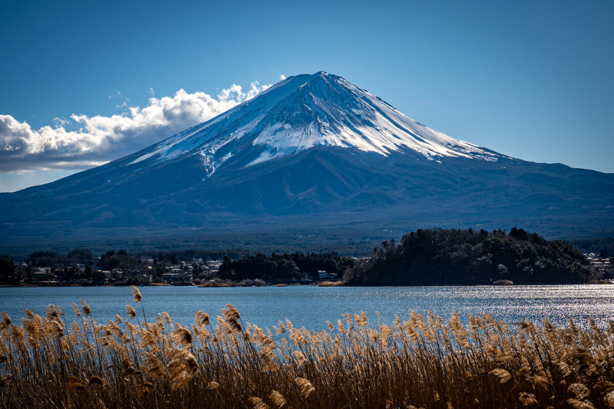 河口湖大石公園の富士山