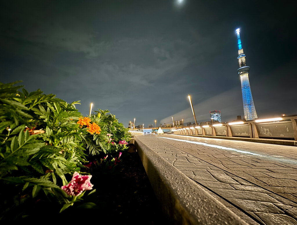 浅草の東京スカイツリー夜景写真