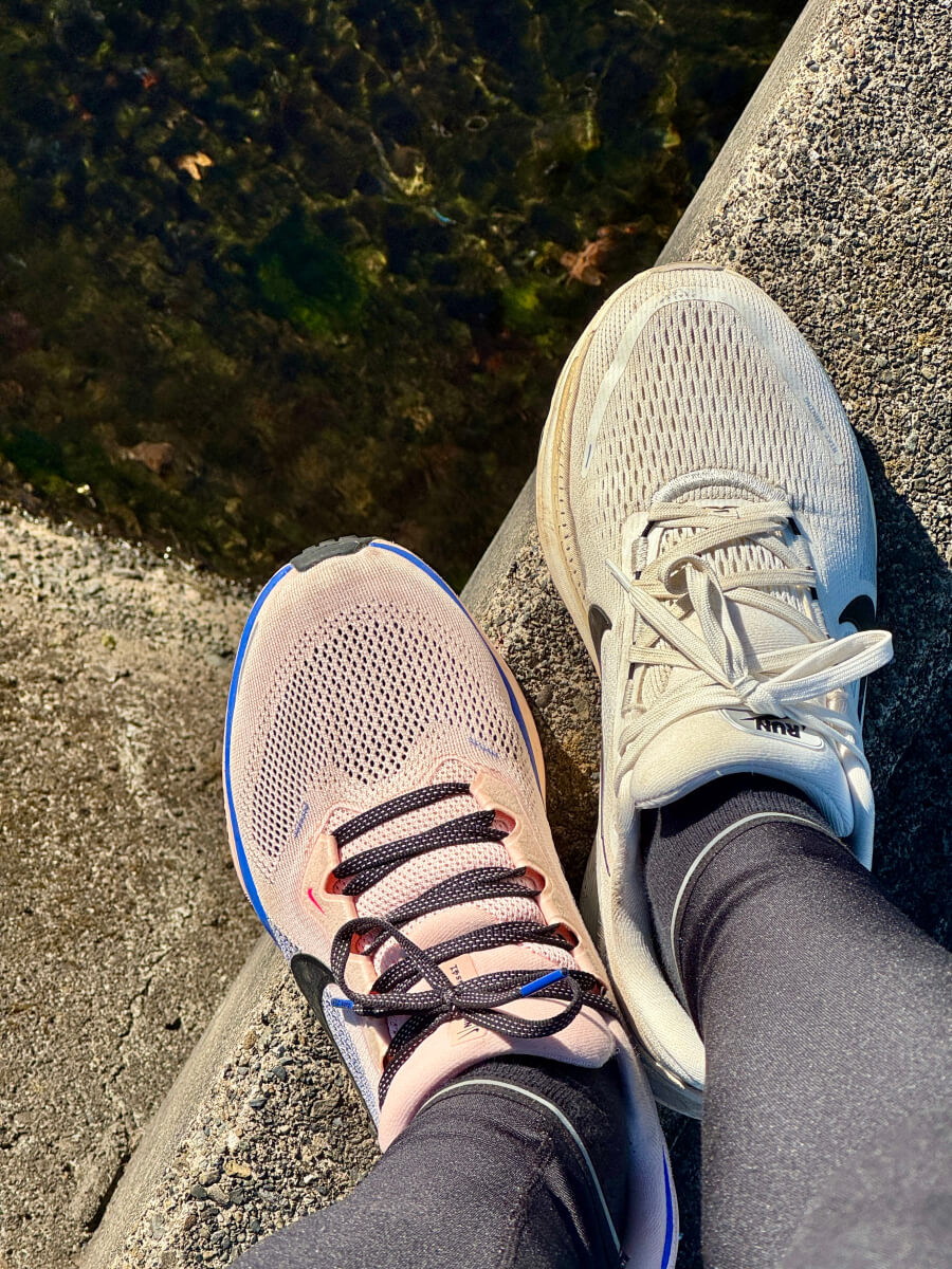 片足づつペガサスとボメロで走ってみた