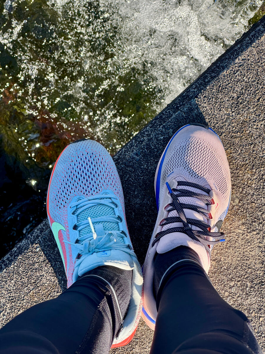 片足づつペガサス・ウィンフロー履いて走ってみた