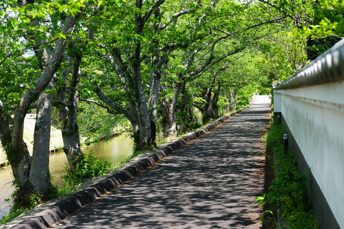田中城駿河国写真