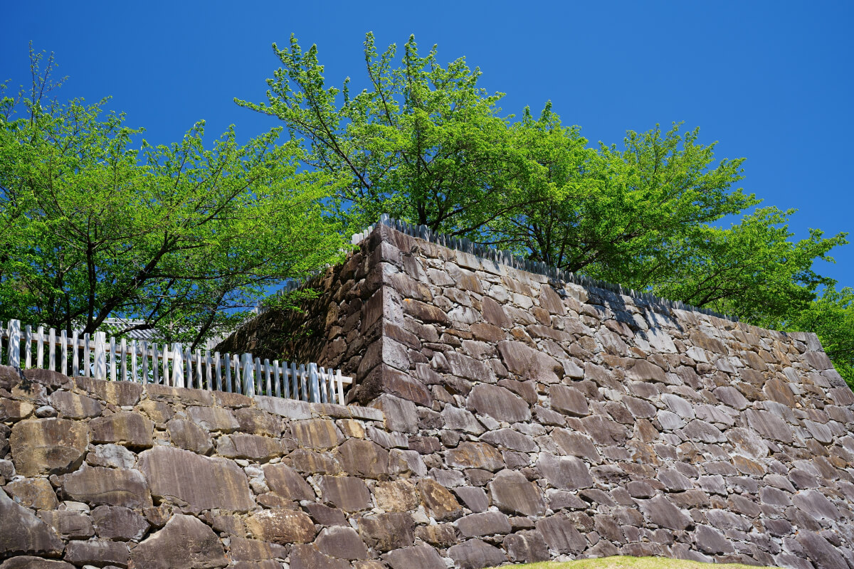 甲府城（舞鶴城）写真