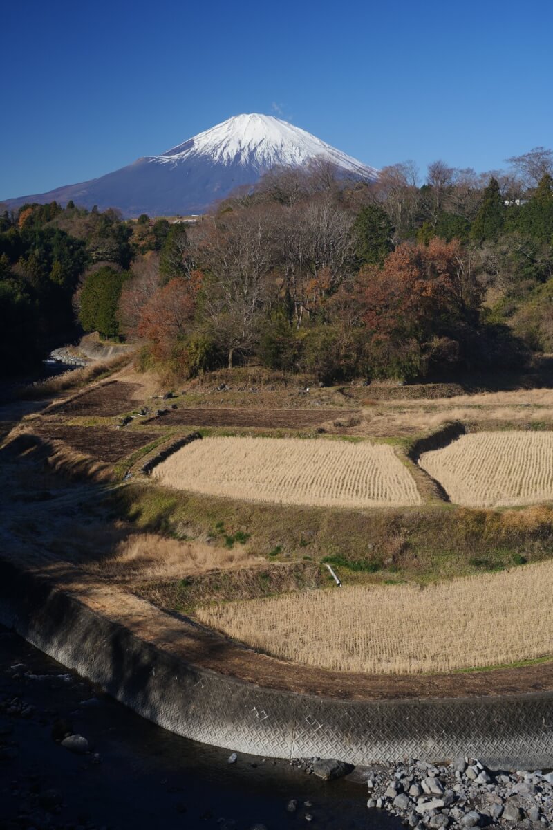 竹之下の棚田