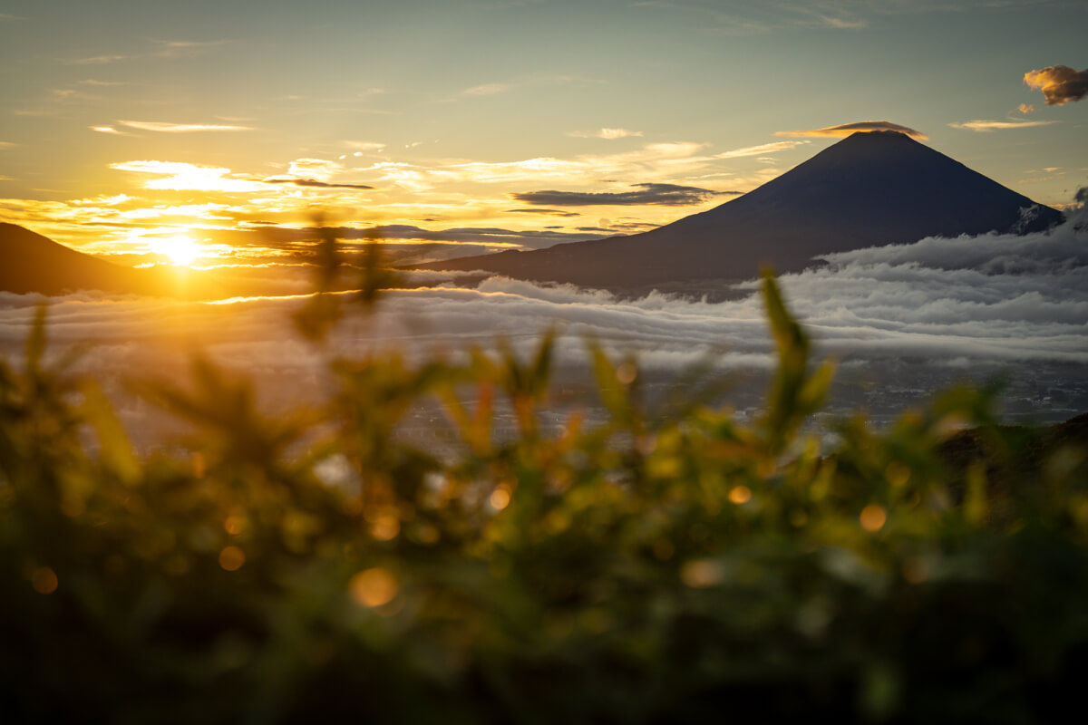 箱根スカイライン富士見ヶ丘公園の富士山写真
